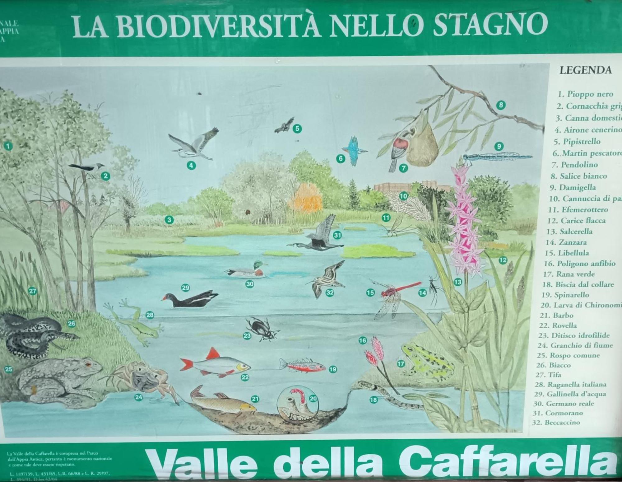 Appartamento Casa Mia Metro A NUOVO Roma Esterno foto